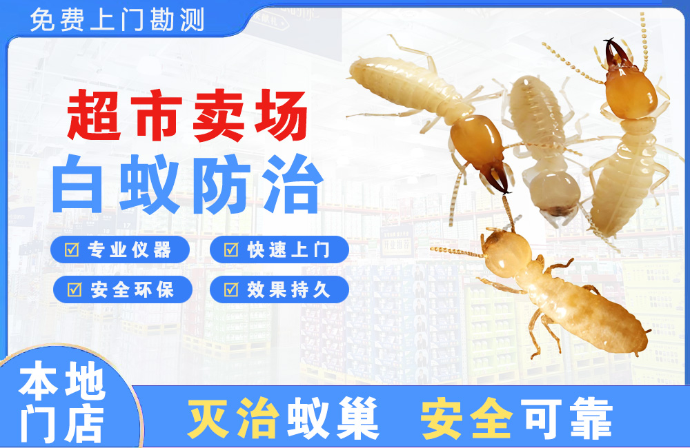 梅州超市卖场白蚁防治