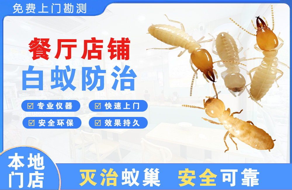 梅州餐厅店铺白蚁防治